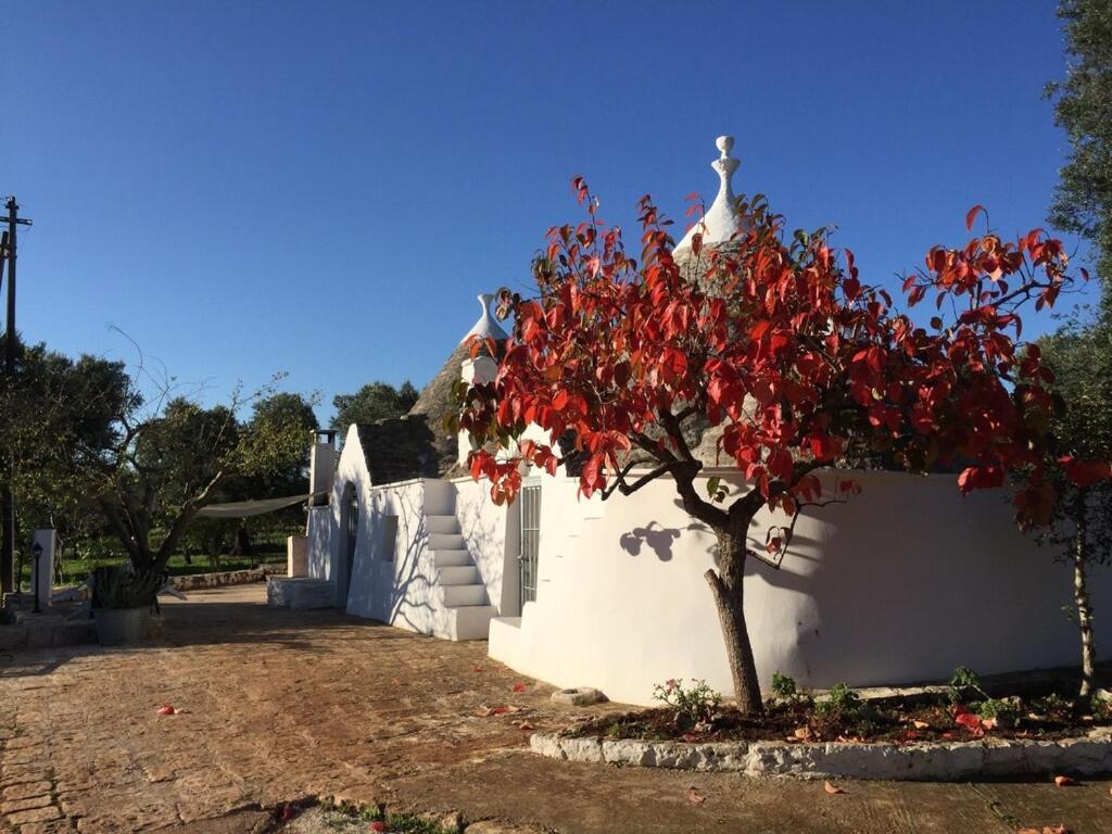 Chateaux Des Trulli سان ميكيلي سالنتينو المظهر الخارجي الصورة