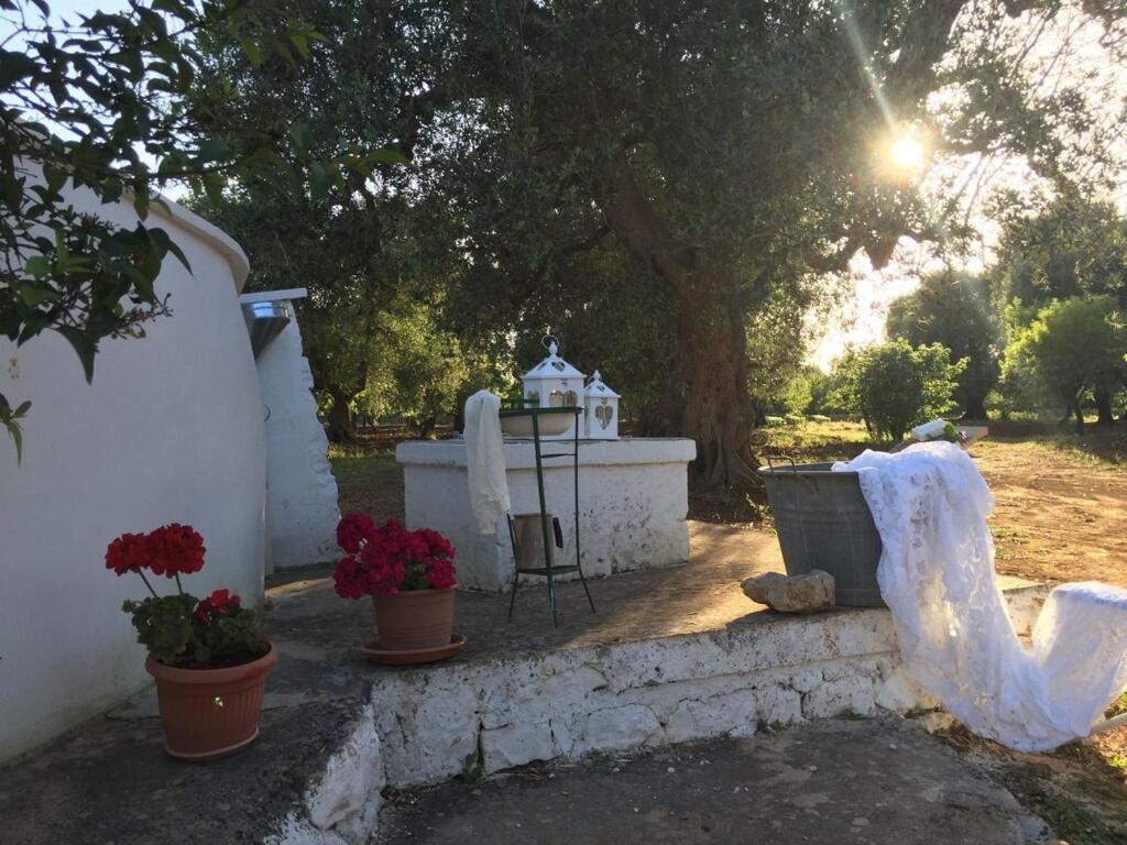 Chateaux Des Trulli سان ميكيلي سالنتينو المظهر الخارجي الصورة